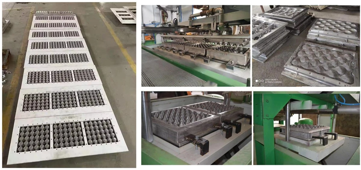 product-1200-565 product-1200-565
